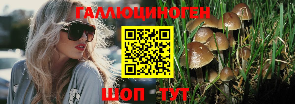 Вольск  Галлюциногенные грибы Magic Shrooms  Вход с VPN 
