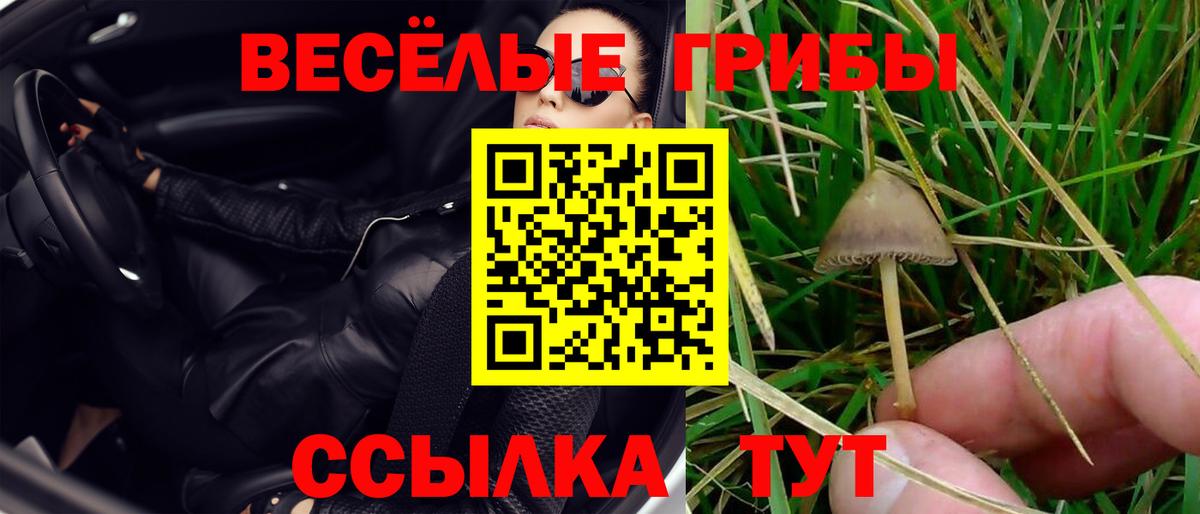 Галлюциногенные грибы Magic Shrooms Вольск