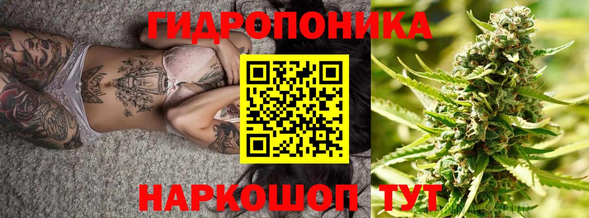 Бошки Шишки ГИДРОПОН  Конопля план  Канабис VHQ  Бошки марихуана Ganja  Вольск  Вход с VPN 